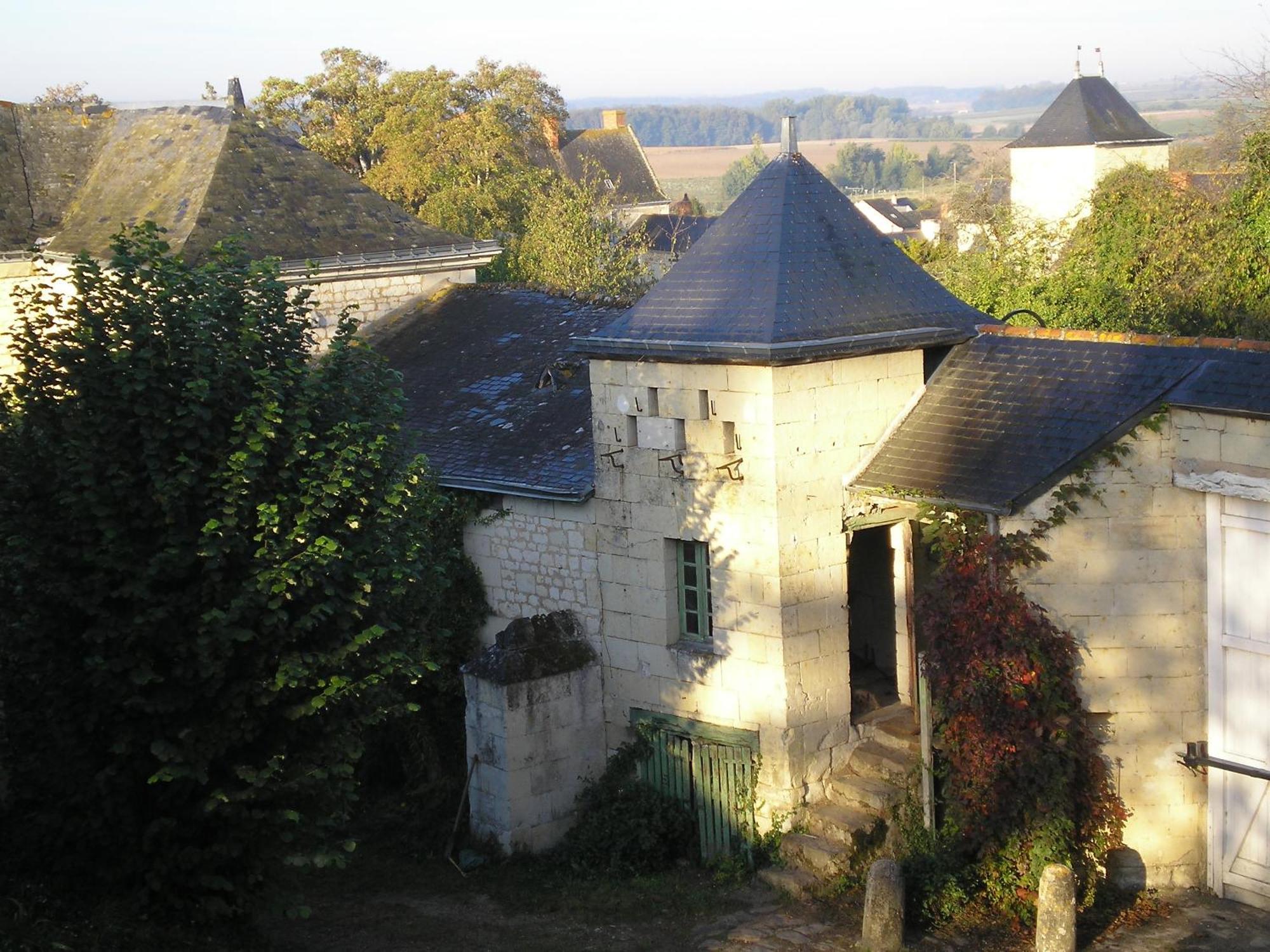 Manoir De Boisairault Panzió Le Coudray-Macouard Kültér fotó