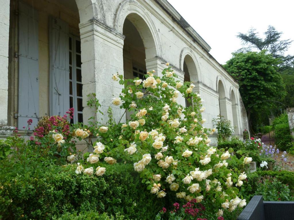 Manoir De Boisairault Panzió Le Coudray-Macouard Kültér fotó