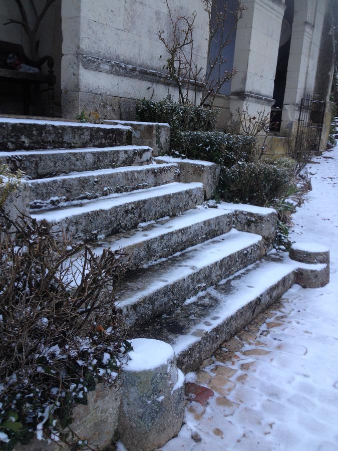 Manoir De Boisairault Panzió Le Coudray-Macouard Kültér fotó